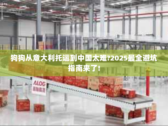 狗狗从意大利托运到中国太难?2025最全避坑指南来了!