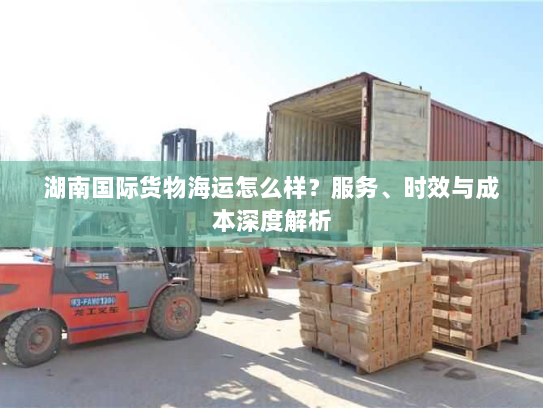 湖南国际货物海运怎么样？服务、时效与成本深度解析