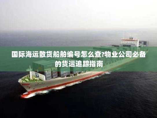 国际海运散货船舶编号怎么查?物业公司必备的货运追踪指南 国际海运散货船舶编号怎么查?物业公司必备的货运追踪指南