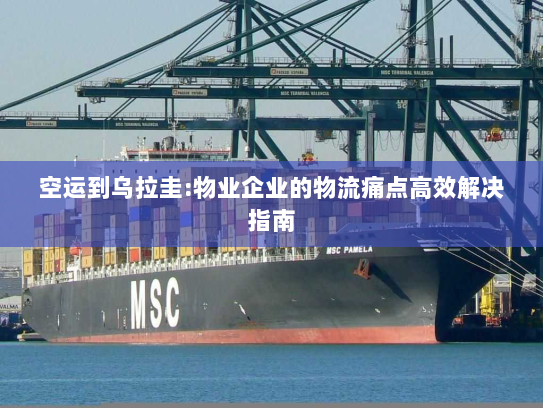 空运到乌拉圭:物业企业的物流痛点高效解决指南