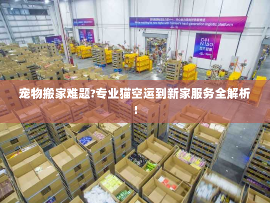 宠物搬家难题?专业猫空运到新家服务全解析! 宠物搬家难题?专业猫空运到新家服务全解析!