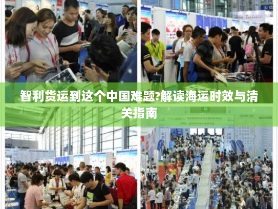 智利货运到这个中国难题?解读海运时效与清关指南