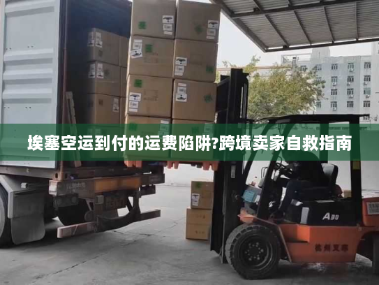 埃塞空运到付的运费陷阱?跨境卖家自救指南 埃塞空运到付的运费陷阱?跨境卖家自救指南