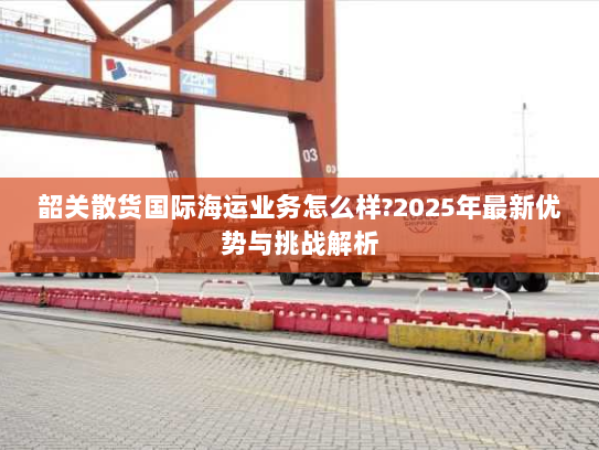 韶关散货国际海运业务怎么样?2025年最新优势与挑战解析 韶关散货国际海运业务怎么样?2025年最新优势与挑战解析