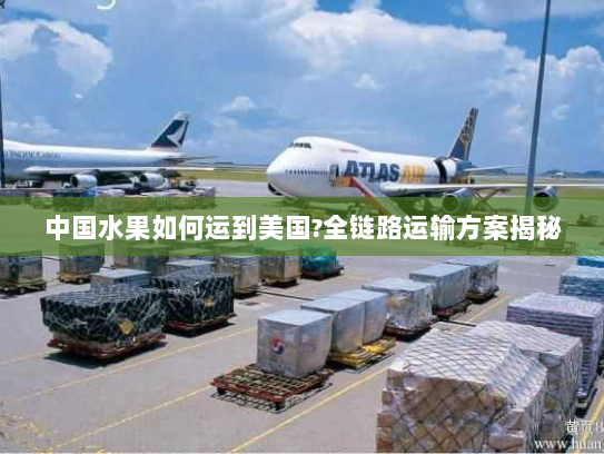 中国水果如何运到美国?全链路运输方案揭秘 中国水果如何运到美国?全链路运输方案揭秘
