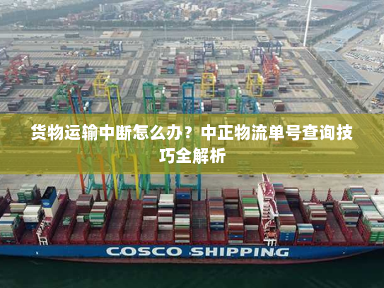 货物运输中断怎么办?中正物流单号查询技巧全解析 货物运输中断怎么办?中正物流单号查询技巧全解析