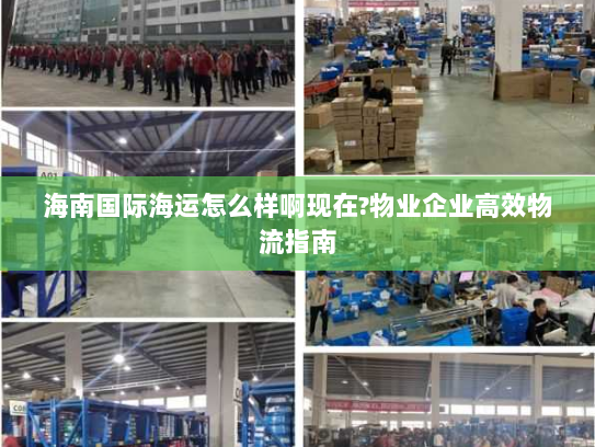 海南国际海运怎么样啊现在?物业企业高效物流指南