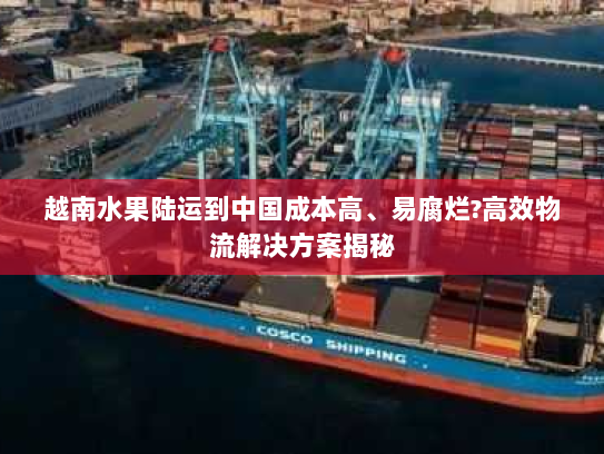 越南水果陆运到中国成本高、易腐烂?高效物流解决方案揭秘