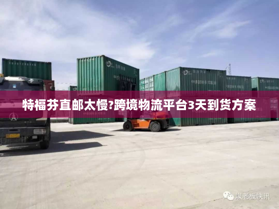特福芬直邮太慢?跨境物流平台3天到货方案
