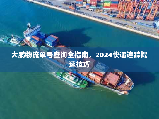 大鹏物流单号查询全指南,2024快递追踪提速技巧 大鹏物流单号查询全指南,2024快递追踪提速技巧