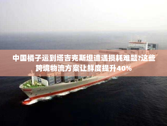 中国橘子运到塔吉克斯坦遭遇损耗难题?这些跨境物流方案让鲜度提升40%