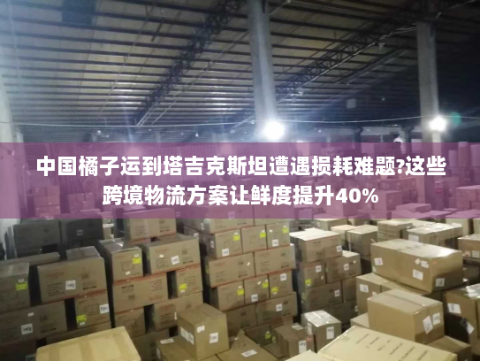 中国橘子运到塔吉克斯坦遭遇损耗难题?这些跨境物流方案让鲜度提升40%