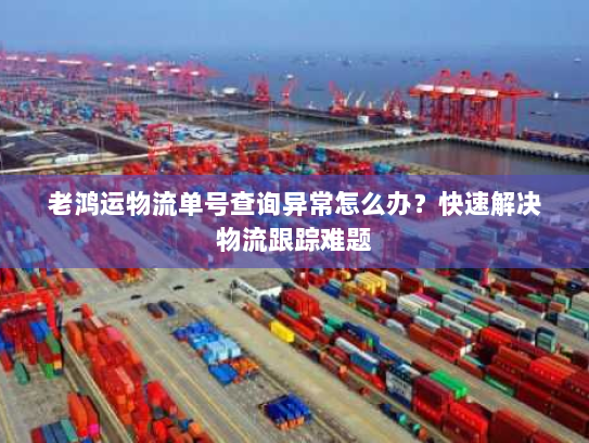 老鸿运物流单号查询异常怎么办？快速解决物流跟踪难题