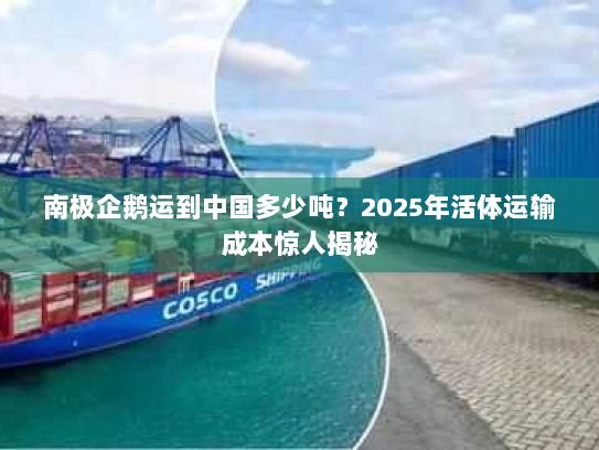 南极企鹅运到中国多少吨？2025年活体运输成本惊人揭秘
