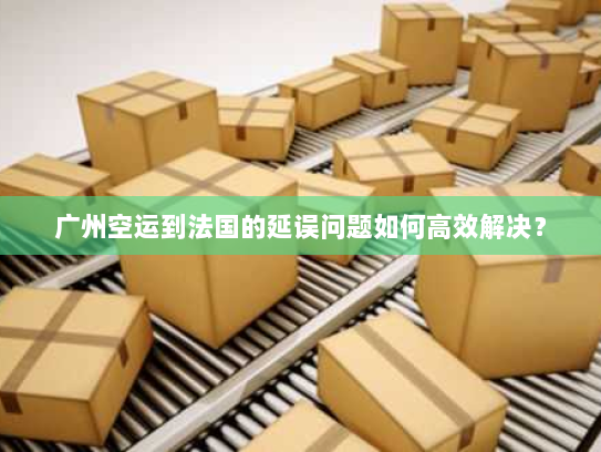 广州空运到法国的延误问题如何高效解决？
