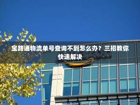 宝路通物流单号查询不到怎么办？三招教你快速解决