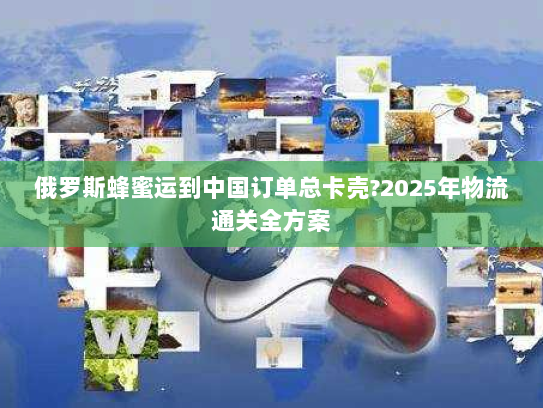 俄罗斯蜂蜜运到中国订单总卡壳?2025年物流通关全方案