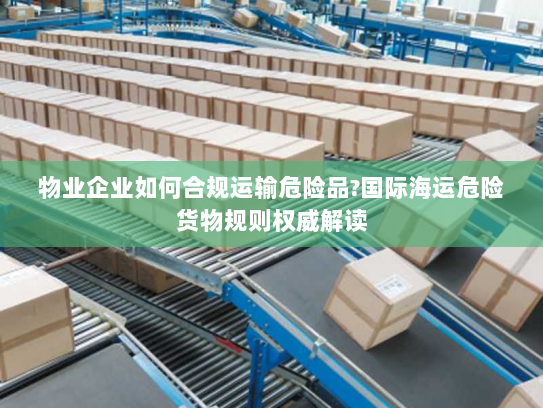 物业企业如何合规运输危险品?国际海运危险货物规则权威解读