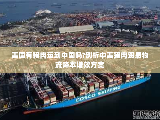 美国有猪肉运到中国吗?剖析中美猪肉贸易物流降本增效方案