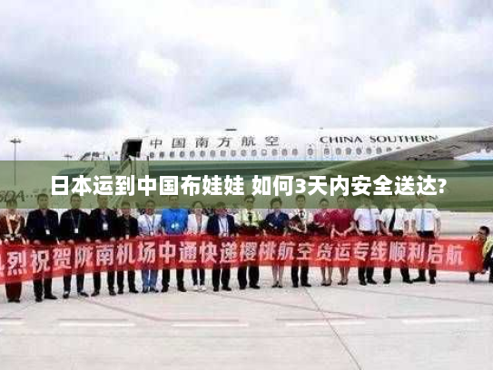日本运到中国布娃娃 如何3天内安全送达?