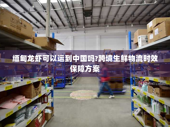 缅甸龙虾可以运到中国吗?跨境生鲜物流时效保障方案