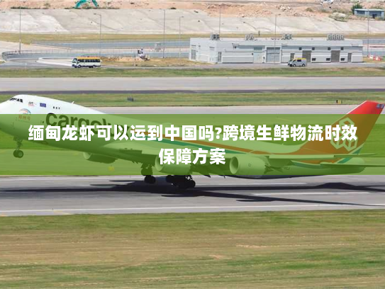 缅甸龙虾可以运到中国吗?跨境生鲜物流时效保障方案