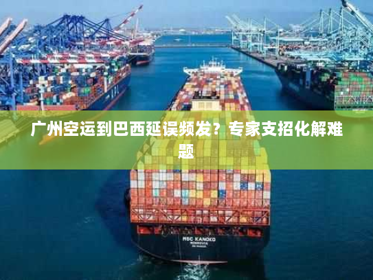 广州空运到巴西延误频发?专家支招化解难题 广州空运到巴西延误频发?专家支招化解难题