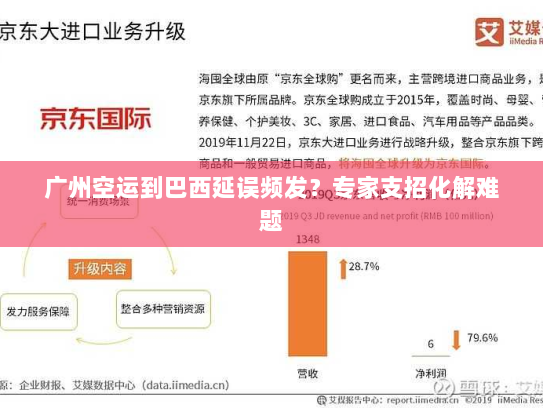 广州空运到巴西延误频发?专家支招化解难题 广州空运到巴西延误频发?专家支招化解难题