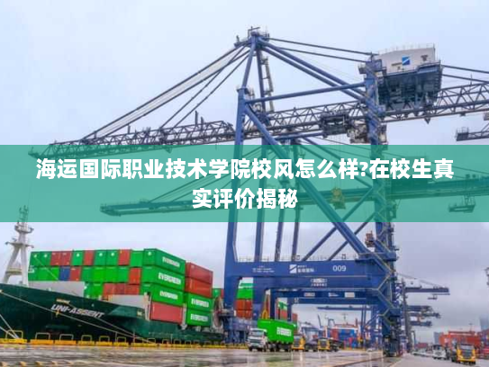 海运国际职业技术学院校风怎么样?在校生真实评价揭秘