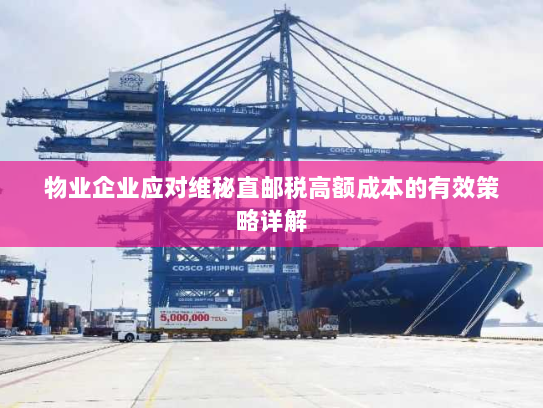 物业企业应对维秘直邮税高额成本的有效策略详解 物业企业应对维秘直邮税高额成本的有效策略详解