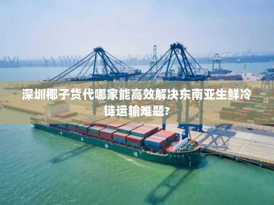 深圳椰子货代哪家能高效解决东南亚生鲜冷链运输难题?
