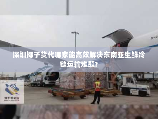 深圳椰子货代哪家能高效解决东南亚生鲜冷链运输难题?