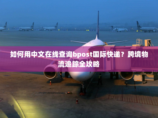 如何用中文在线查询bpost国际快递?跨境物流追踪全攻略 如何用中文在线查询bpost国际快递?跨境物流追踪全攻略