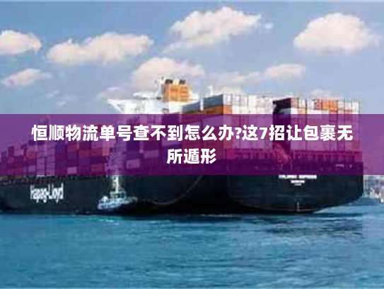 恒顺物流单号查不到怎么办?这7招让包裹无所遁形