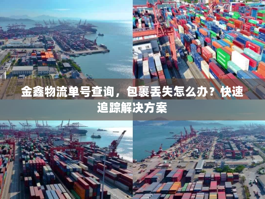 金鑫物流单号查询,包裹丢失怎么办?快速追踪解决方案 金鑫物流单号查询,包裹丢失怎么办?快速追踪解决方案
