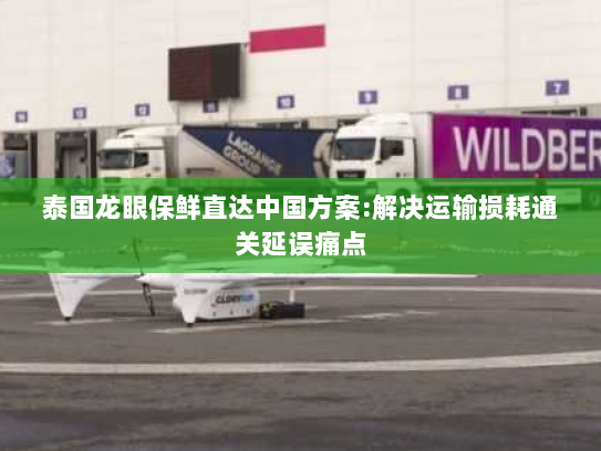 泰国龙眼保鲜直达中国方案:解决运输损耗通关延误痛点