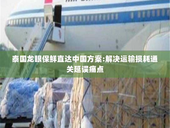 泰国龙眼保鲜直达中国方案:解决运输损耗通关延误痛点