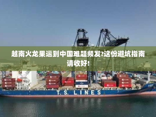 越南火龙果运到中国难题频发?这份避坑指南请收好!