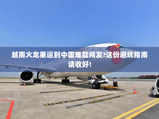 越南火龙果运到中国难题频发?这份避坑指南请收好!