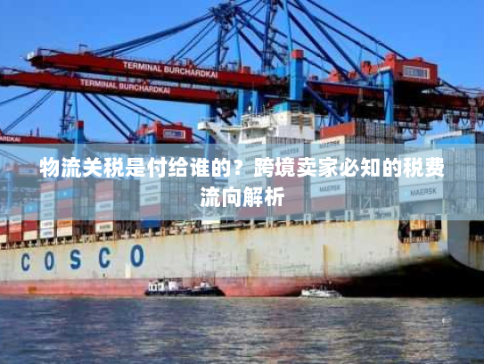 物流关税是付给谁的？跨境卖家必知的税费流向解析