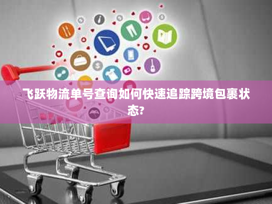 飞跃物流单号查询如何快速追踪跨境包裹状态?