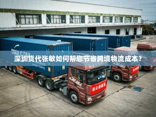 深圳货代张敏如何帮您节省跨境物流成本？