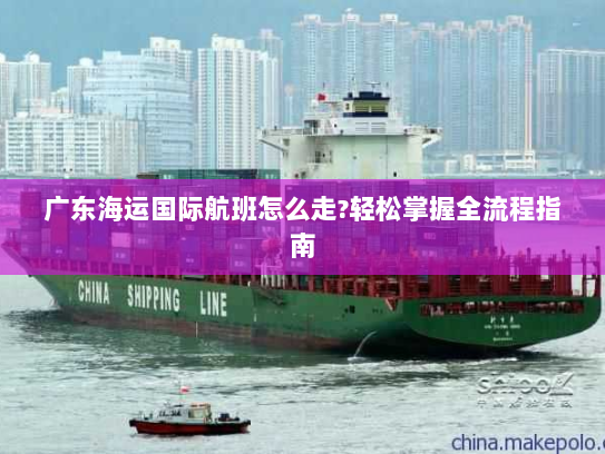 广东海运国际航班怎么走?轻松掌握全流程指南