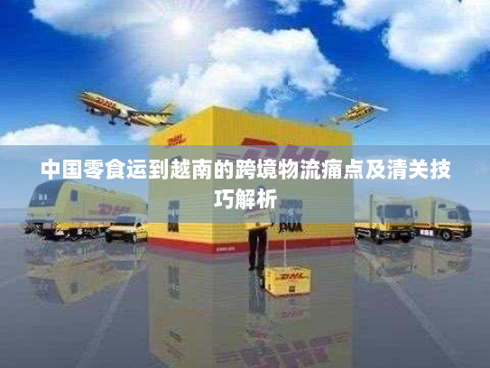 中国零食运到越南的跨境物流痛点及清关技巧解析