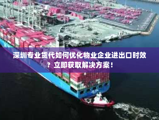 深圳专业货代如何优化物业企业进出口时效？立即获取解决方案！