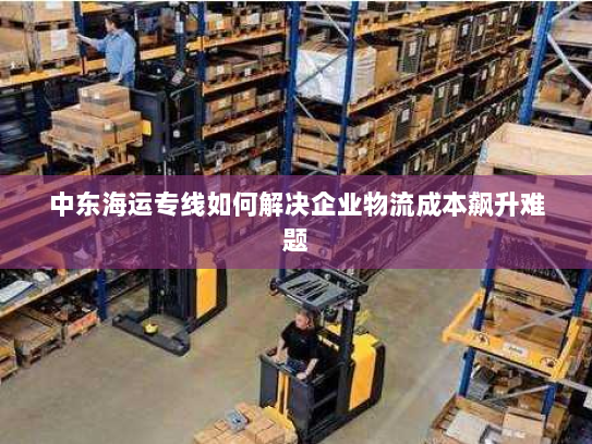 中东海运专线如何解决企业物流成本飙升难题 中东海运专线如何解决企业物流成本飙升难题