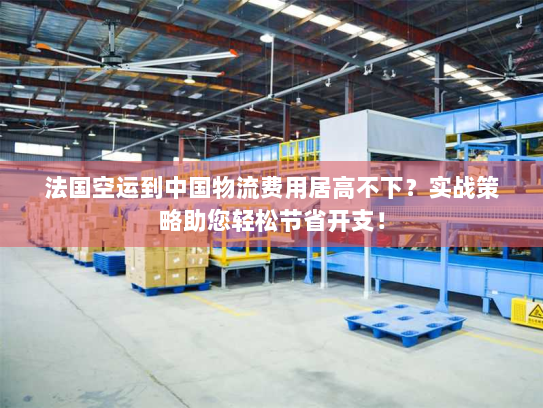 法国空运到中国物流费用居高不下？实战策略助您轻松节省开支！
