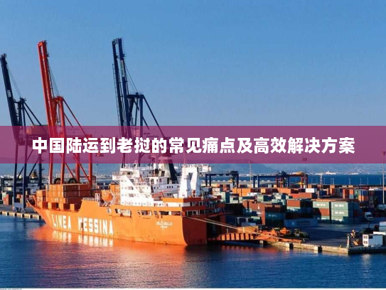 中国陆运到老挝的常见痛点及高效解决方案
