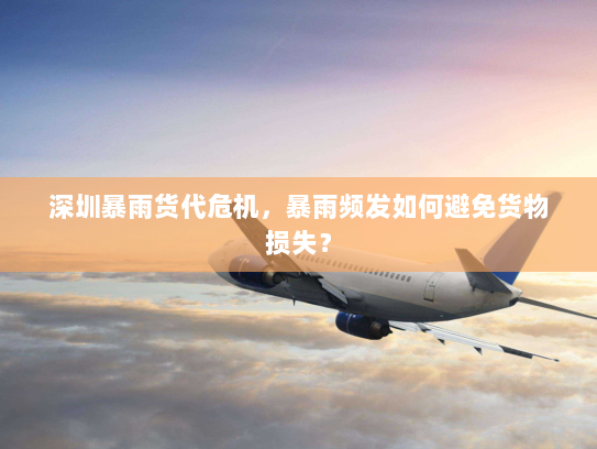 深圳暴雨货代危机,暴雨频发如何避免货物损失? 深圳暴雨货代危机,暴雨频发如何避免货物损失?