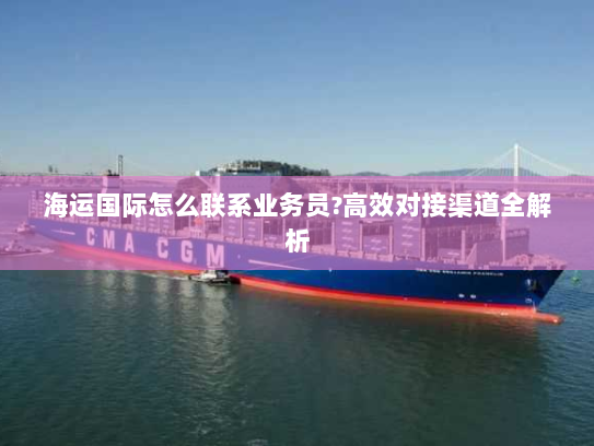 海运国际怎么联系业务员?高效对接渠道全解析